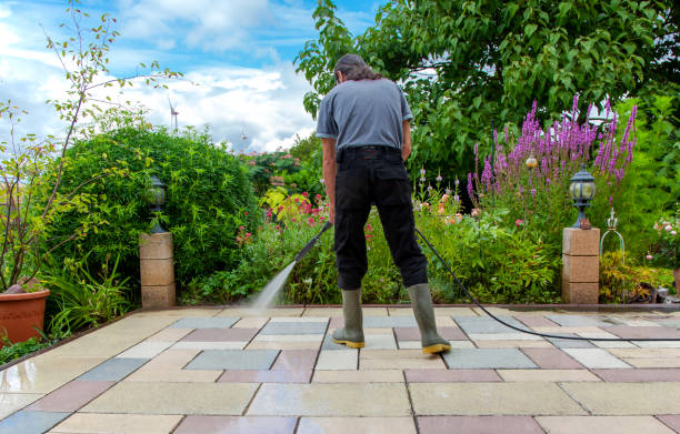 Best Restaurant Pressure Washing  in Stafford, TX